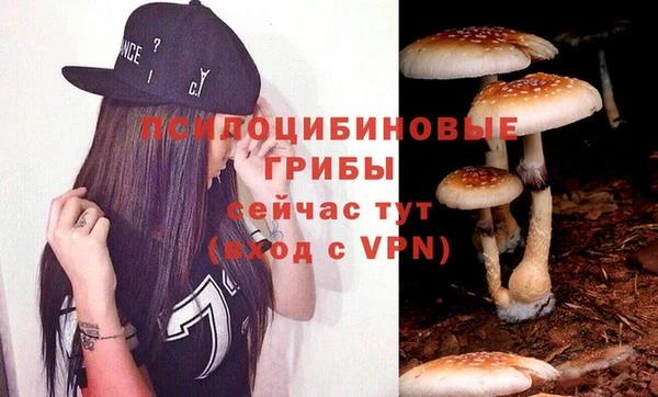 мескалин Арсеньев
