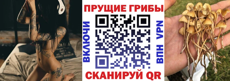 Галлюциногенные грибы мицелий  Саров 
